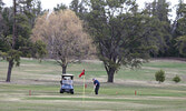 The Sioux Lookout Golf and Curling Club was a busy place on May 11. Pictured: A golfer shoots for the temporary green on Hole 9.    Tim Brody / Bulletin Photo