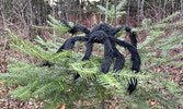 Ghastly sights met those brave enough to traverse the haunted trail during Boo at the Bay. Haunters posed for a group photo at the event’s conclusion.     Tim Brody / Bulletin Photo