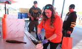 Walleye Weekend Coordinator Tiana Korobanik (foreground) measures and prepares to weigh a team’s catch.     Tim Brody / Bulletin Photo 